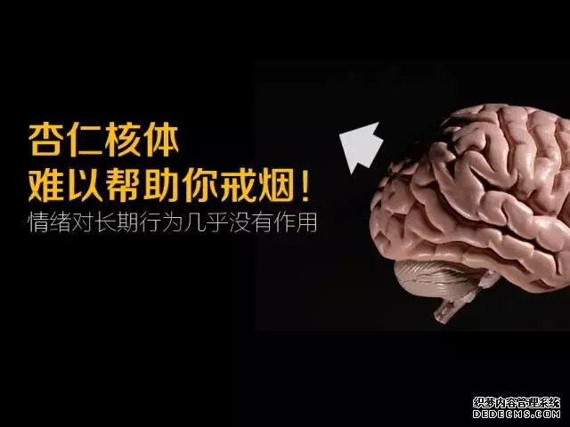 厦门市集美区杏林联雅广告有限公司
